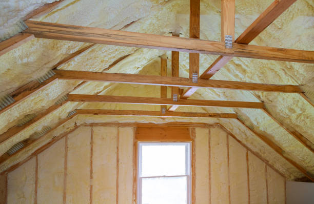 Professional Insulation Contractor in HI