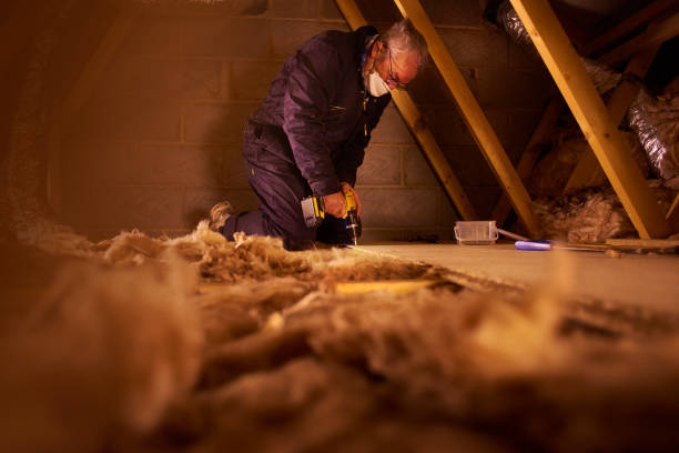 Best Insulation for Specific Applications in Kaumakani, HI